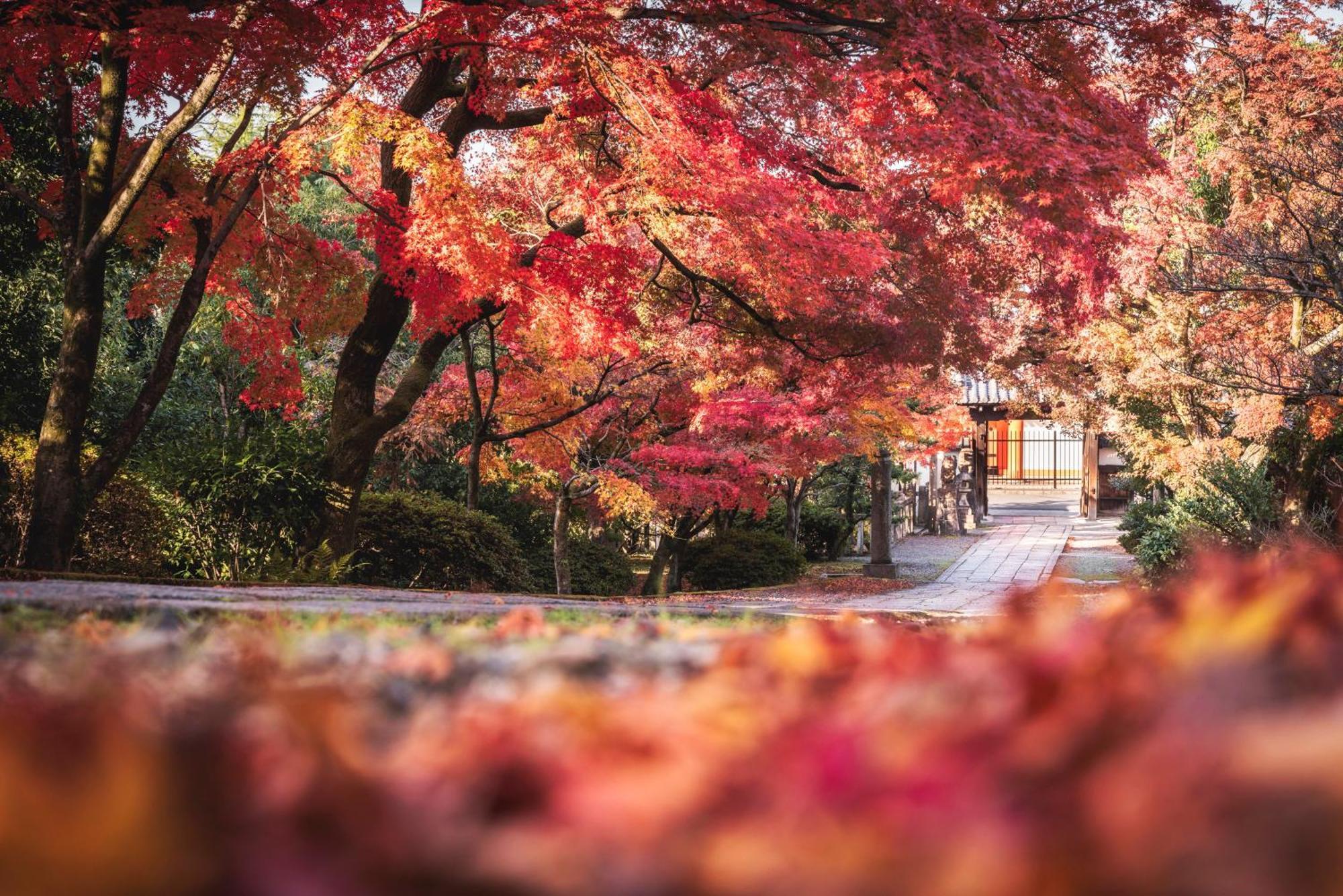 Omo5 Kyoto Gion By Hoshino Resorts 외부 사진